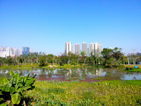 城市美景