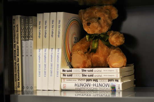 书架上的小熊
