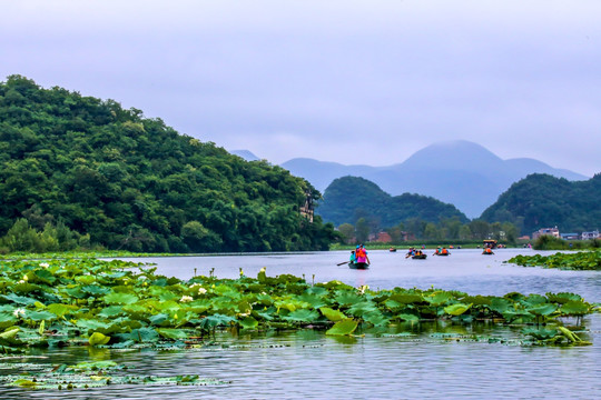 普者黑景区