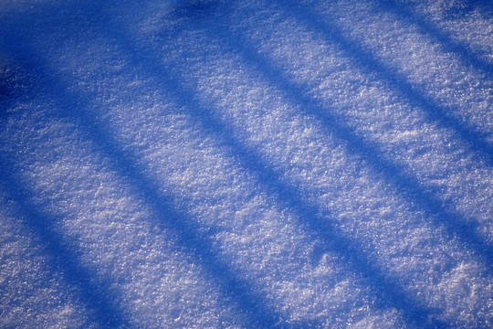 雪地光影