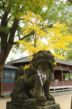 玉姬神社门口石狮子