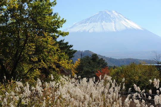 富士山