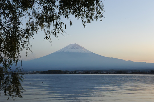 富士河口湖