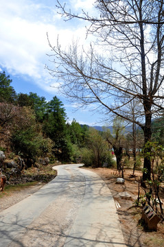 高原水泥路