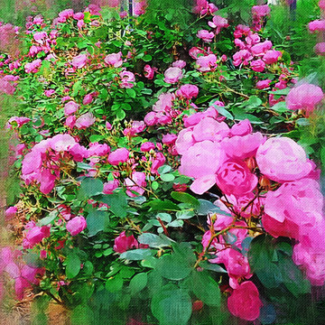 油画 花卉