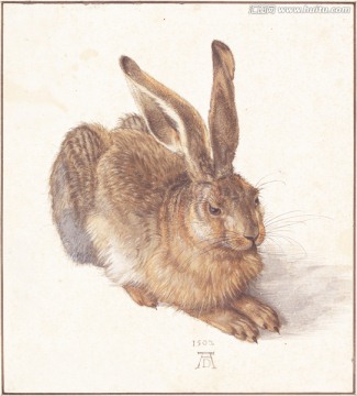 动物兔子油画 画廊品质