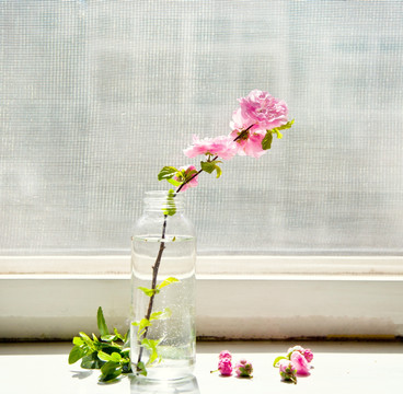 窗台的插花