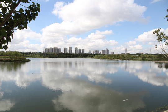 平静的湖水 生态城市