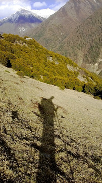 登山者剪影山川背景