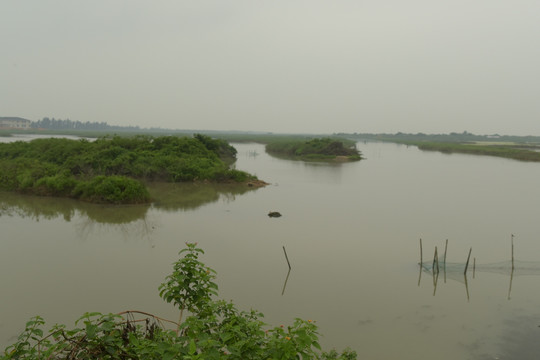 新洲湿地公园