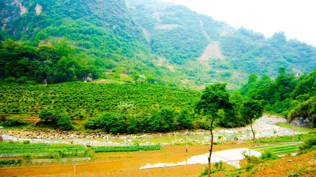山地 小河 绿树