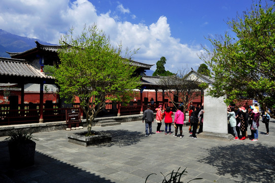 后院景观
