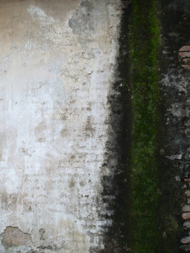 长满绿苔藓青砖旧墙