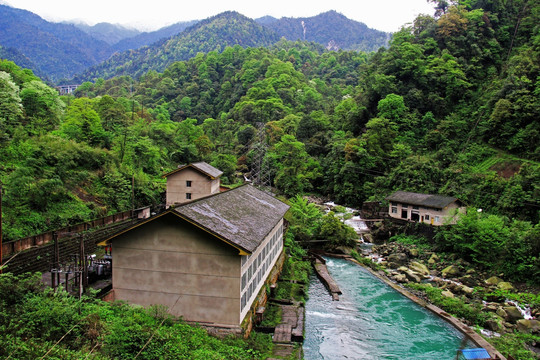 原始森林 电站 水渠