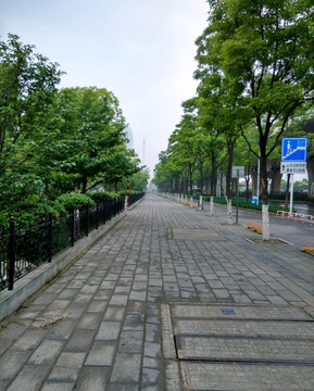 道路 城市 人行道 清晨