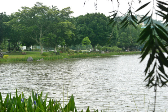 湖
