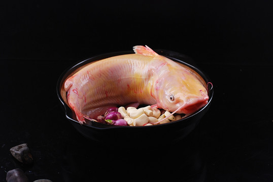 砂锅鮰鱼