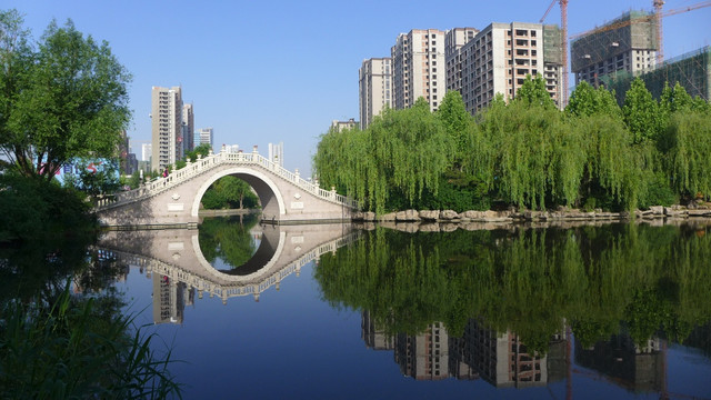 城市公园小桥