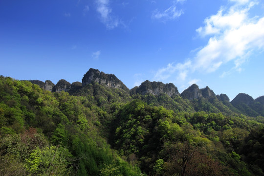 高山