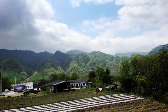 农村