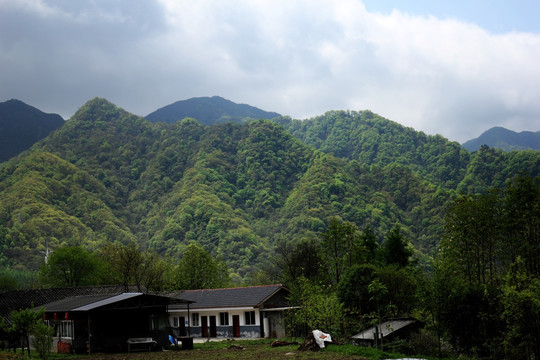 高山