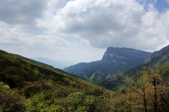 高山