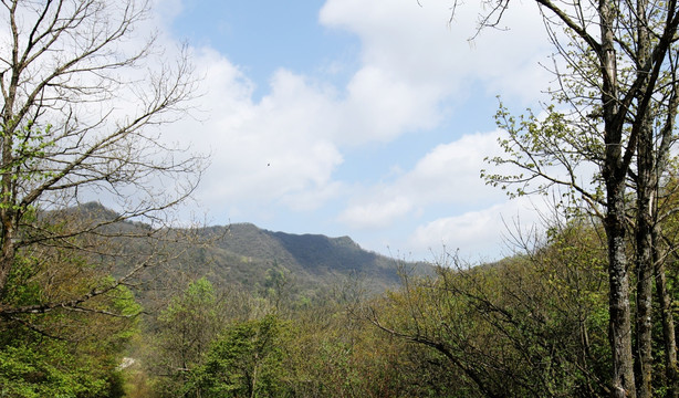 高山
