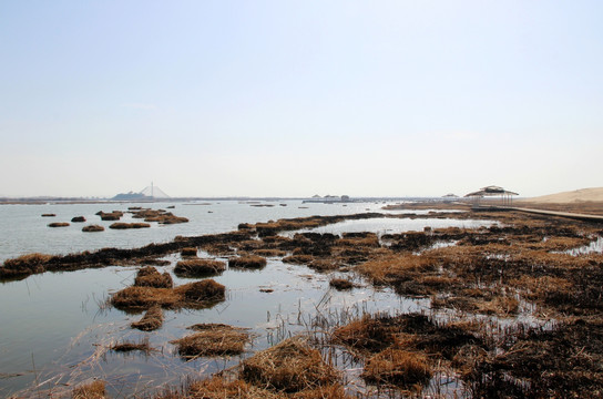 银川沙湖风光