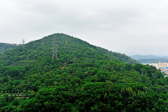 城市绿化