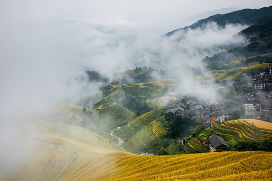 龙脊梯田