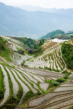 龙胜梯田