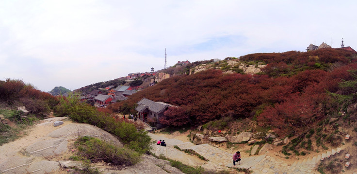 泰山玉皇顶全景图
