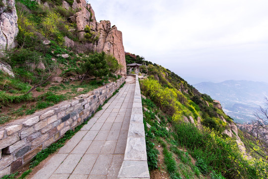 泰山登山小道