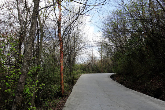 公路