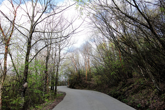 公路