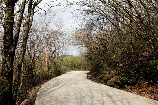 公路