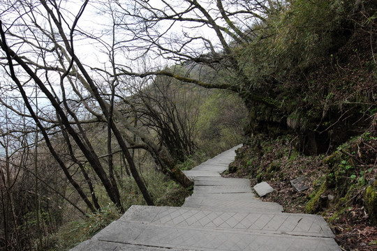 山路