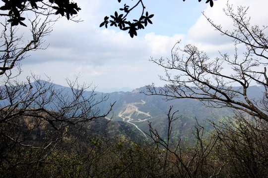 山 树 白云 蓝天