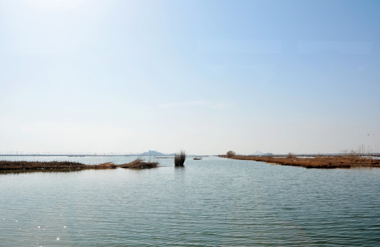 银川沙湖风光