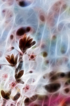 紫叶李子花抽象画