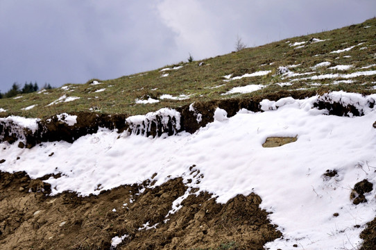 高山草甸雪景摄影特写
