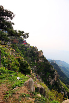 泰山风景