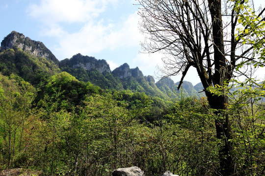 高山