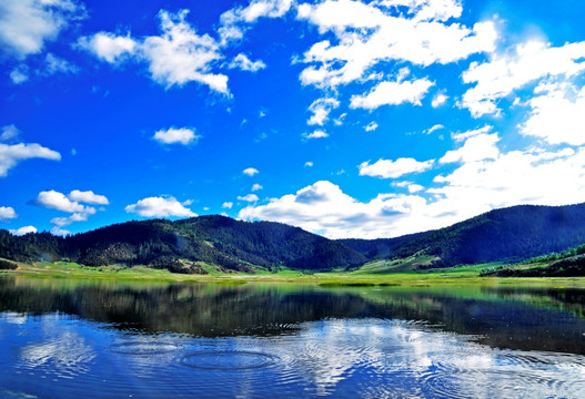 香格里拉 湿地 蓝天白云 湖泊