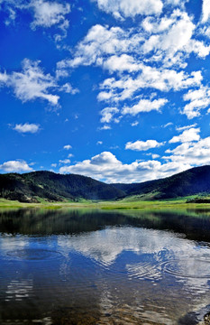 香格里拉 湿地 蓝天白云 湖泊