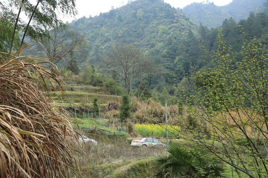 山村风景