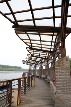 大运河森林公园
