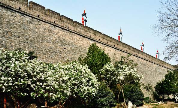 春天花开西安城墙城根