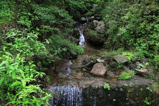 小溪流