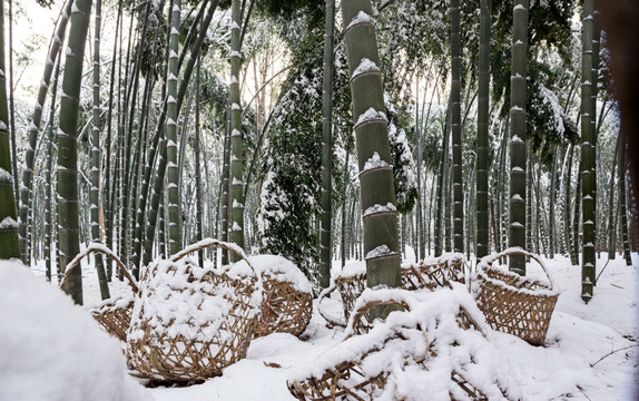 冰雪竹林
